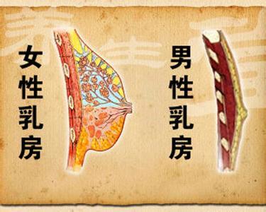 男性也患乳腺癌？体检莫忽略
