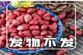 癌从口入？提醒：这4种常见食物竟然是“癌症加速器”！