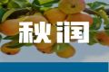 入秋后记得常吃“四大”润肺食物！