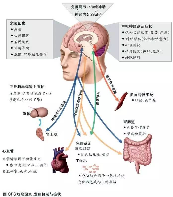 当“累”成为生活主旋律？|一分钟测测你的身体究竟有多累！