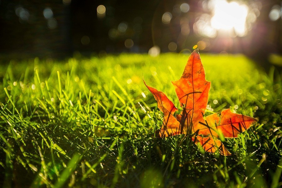 初秋养生 | 五招挡住秋老虎