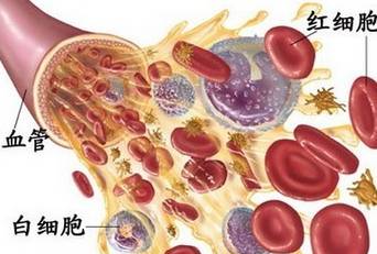 体检报告大剖析，看不懂报告赶紧收藏！