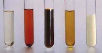 体检报告科普丨尿常规